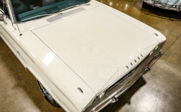 Unknown-Coronet-1967-White-Blue-24