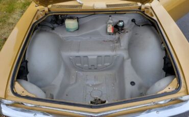 Unknown-Corvair-1965-Gold-Tan-10