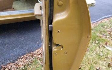 Unknown-Corvair-1965-Gold-Tan-13