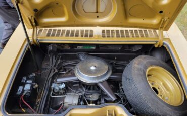 Unknown-Corvair-1965-Gold-Tan-3