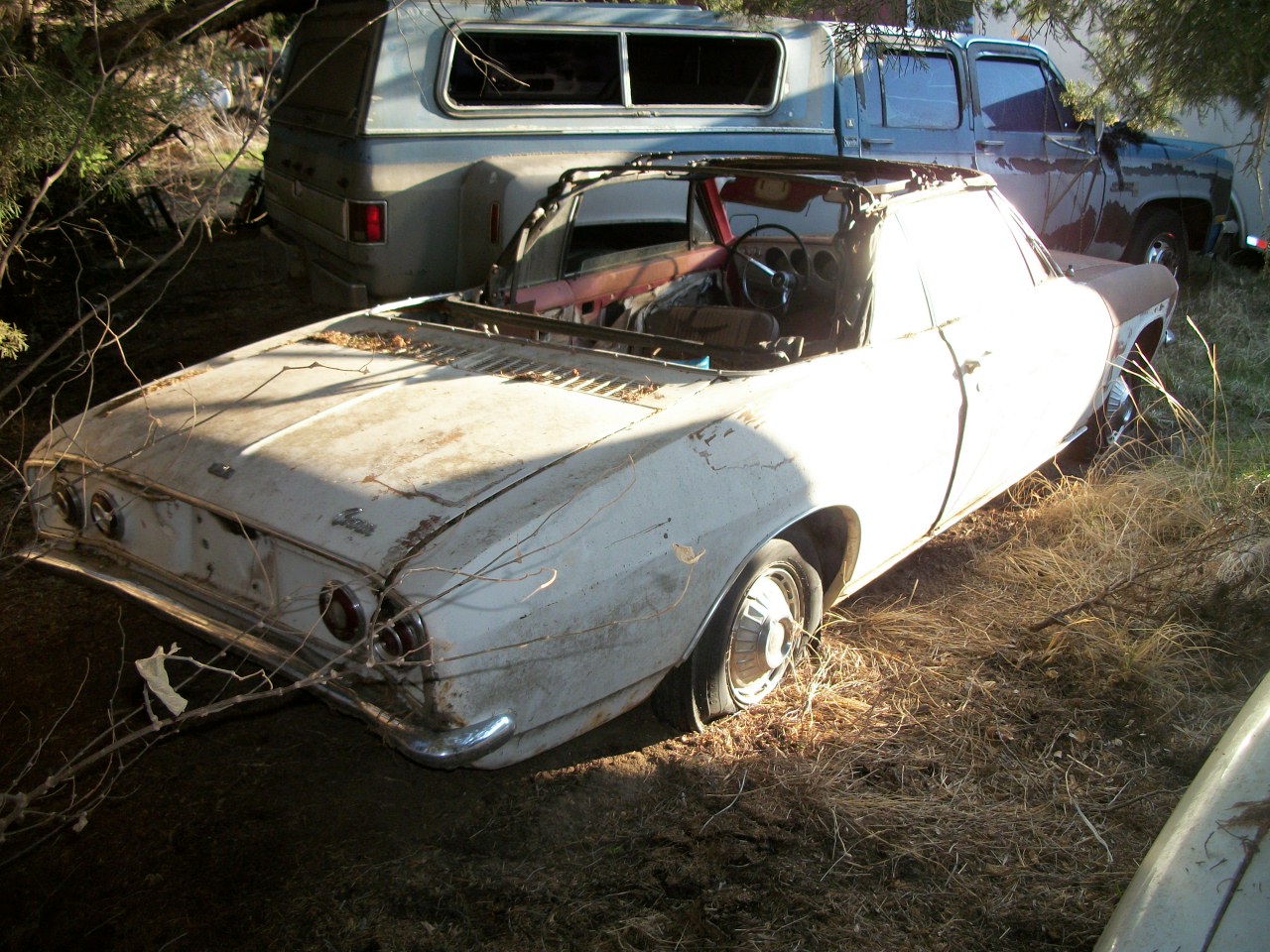 Unknown-Corvair-1965-white-red-3