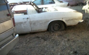 Unknown-Corvair-1965-white-red-4