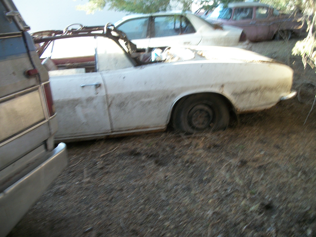 Unknown-Corvair-1965-white-red-4