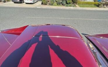 Unknown-Corvette-1969-Burgundy-Black-11