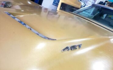 Unknown-Corvette-1969-Gold-Brown-2