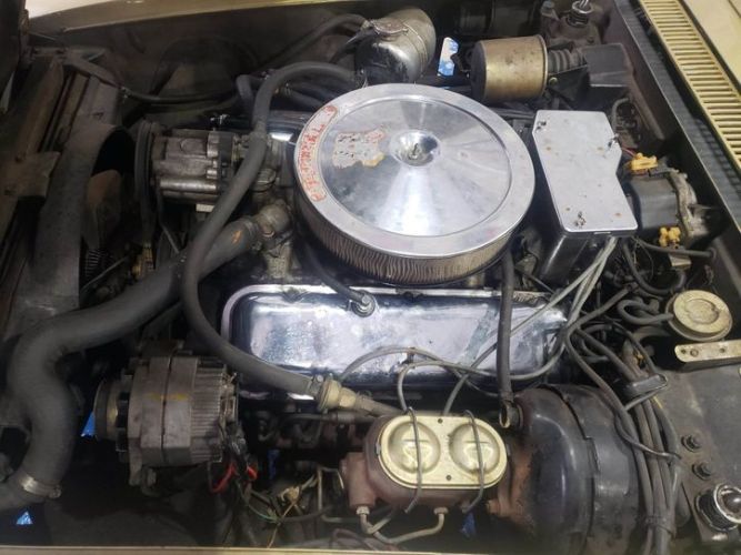 Unknown-Corvette-1969-Gold-Brown-5