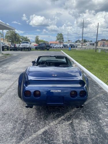 Unknown-Corvette-1970-Blue-4