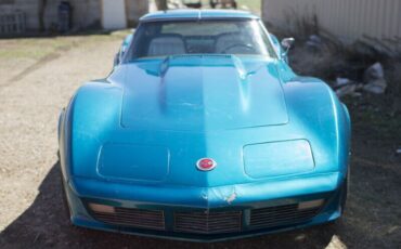 Unknown-Corvette-1973-11