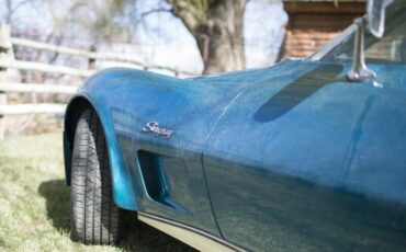 Unknown-Corvette-1973-2