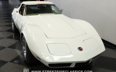 Unknown-Corvette-1973-Classic-White-Saddle-12
