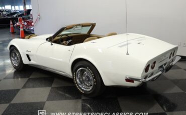 Unknown-Corvette-1973-Classic-White-Saddle-4