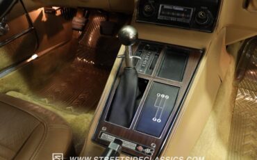 Unknown-Corvette-1973-Classic-White-Saddle-44