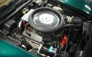Unknown-Corvette-1973-Emerald-Green-Dark-Saddle-36