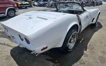 Unknown-Corvette-1973-White-Black-19