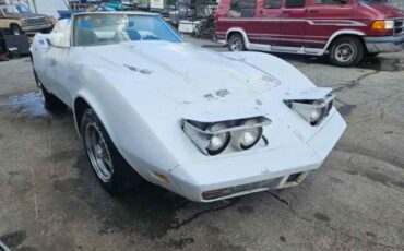 Unknown-Corvette-1973-White-Black-5