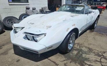 Unknown-Corvette-1973-White-Black-6