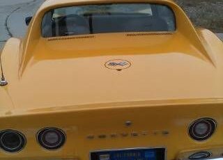 Unknown-Corvette-1973-Yellow-4