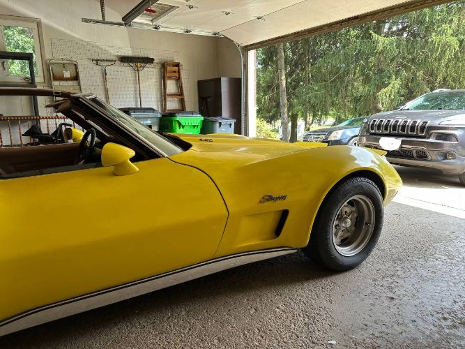 Unknown-Corvette-1973-Yellow-Brown-1