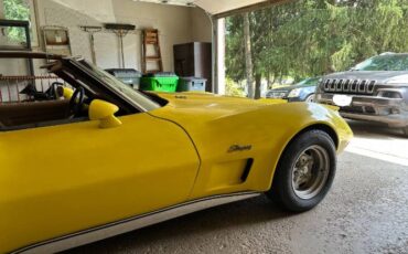 Unknown-Corvette-1973-Yellow-Brown-7