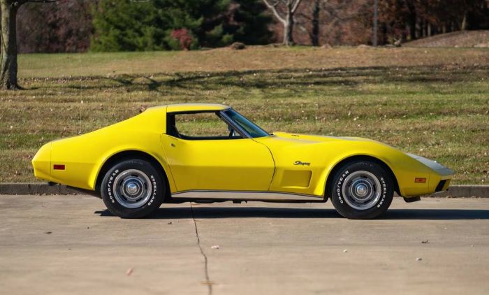 Unknown-Corvette-1974-15