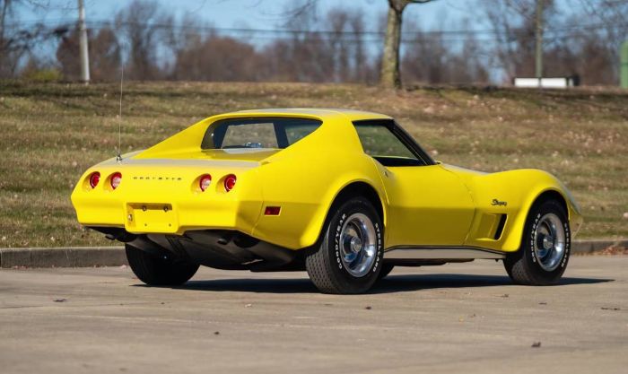 Unknown-Corvette-1974-16