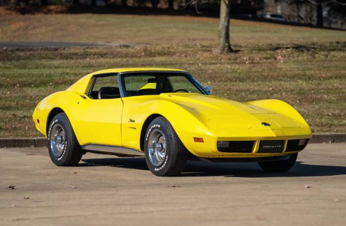 Unknown-Corvette-1974-5