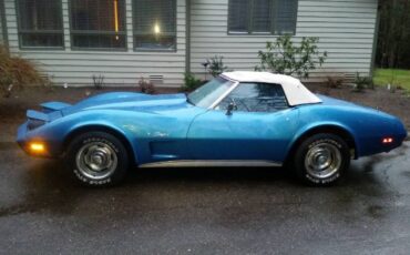 Unknown-Corvette-1974-Blue-12