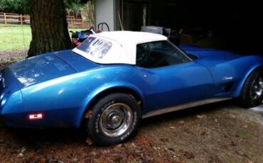 Unknown-Corvette-1974-BlueWhite-top-Blue-10