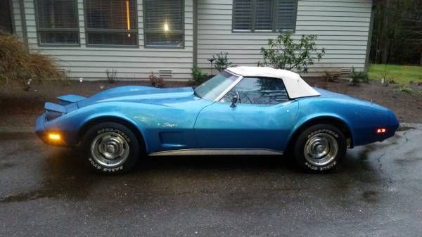 Unknown-Corvette-1974-BlueWhite-top-Blue-8