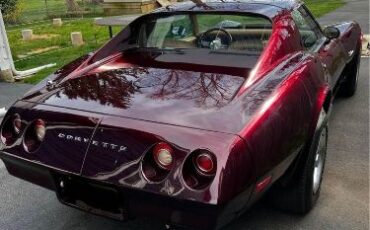 Unknown-Corvette-1974-Dark-Cherry-Metallic-12