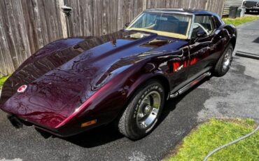 Unknown-Corvette-1974-Dark-Cherry-Metallic-4