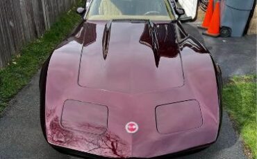 Unknown-Corvette-1974-Dark-Cherry-Metallic-5