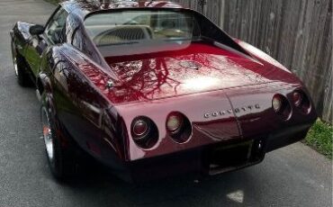 Unknown-Corvette-1974-Dark-Cherry-Metallic-9
