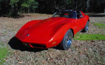 Unknown-Corvette-1974-Red-11