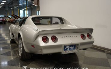 Unknown-Corvette-1974-Silver-Black-18