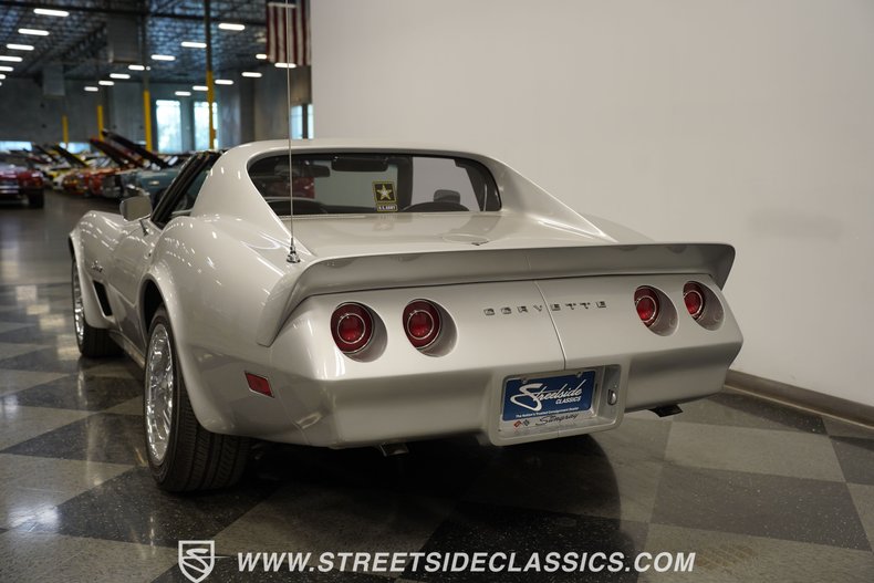 Unknown-Corvette-1974-Silver-Black-18