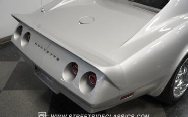 Unknown-Corvette-1974-Silver-Black-33