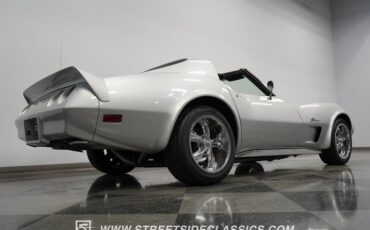 Unknown-Corvette-1974-Silver-Black-34