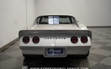 Unknown-Corvette-1974-Silver-Black-45