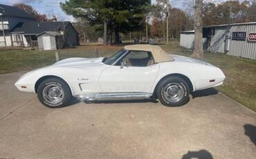 Unknown-Corvette-1974-White-Saddle-Vinyl-1
