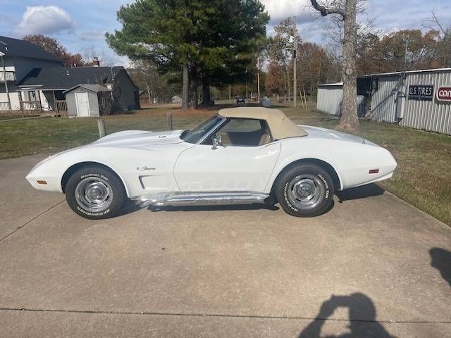 Unknown-Corvette-1974-White-Saddle-Vinyl-1