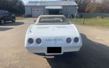 Unknown-Corvette-1974-White-Saddle-Vinyl-2