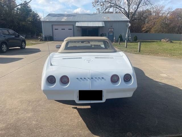Unknown-Corvette-1974-White-Saddle-Vinyl-2