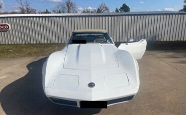 Unknown-Corvette-1974-White-Saddle-Vinyl-3