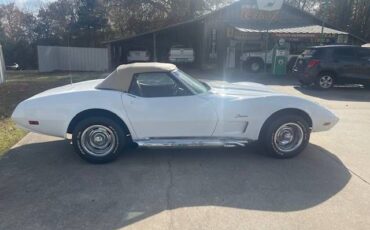 Unknown-Corvette-1974-White-Saddle-Vinyl-8