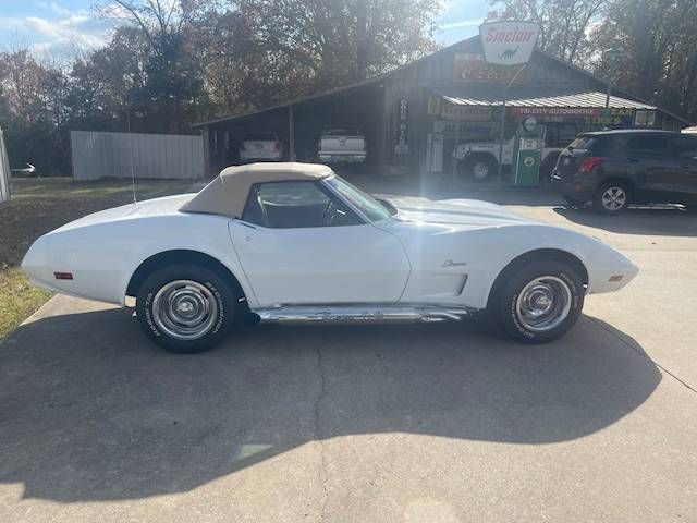 Unknown-Corvette-1974-White-Saddle-Vinyl-8