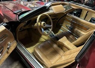 Unknown-Corvette-1974-Yellow-13
