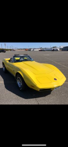 Unknown-Corvette-1974-Yellow-18