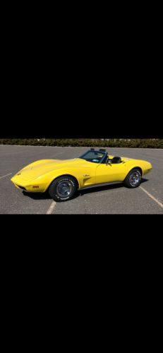Unknown-Corvette-1974-Yellow-19
