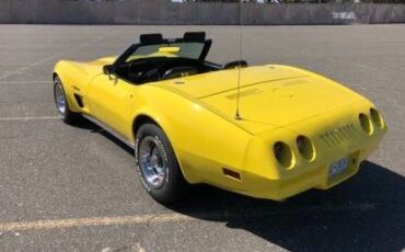 Unknown-Corvette-1974-Yellow-2
